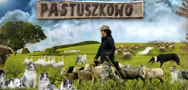 Mistrzostwa Polski w Stylu Tradycyjnym.