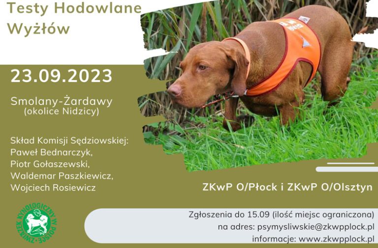 Testy hodowlane wyżłów