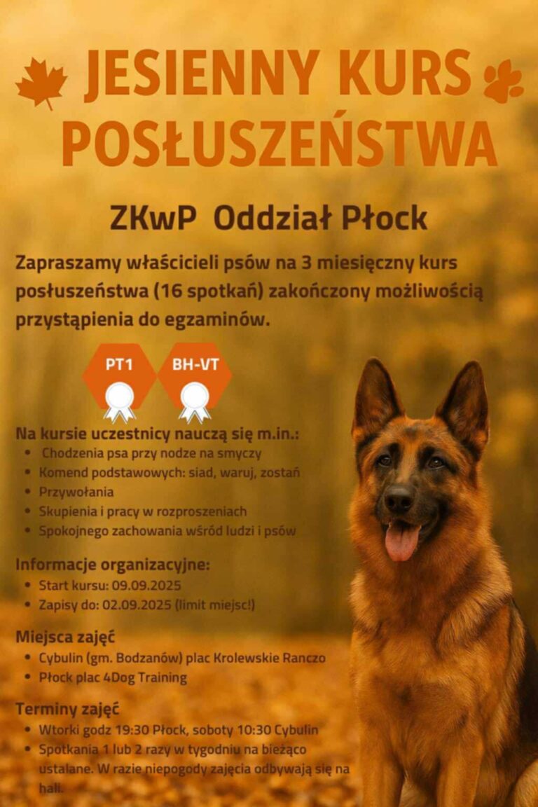 Jesienny Kurs Posłuszeństwa