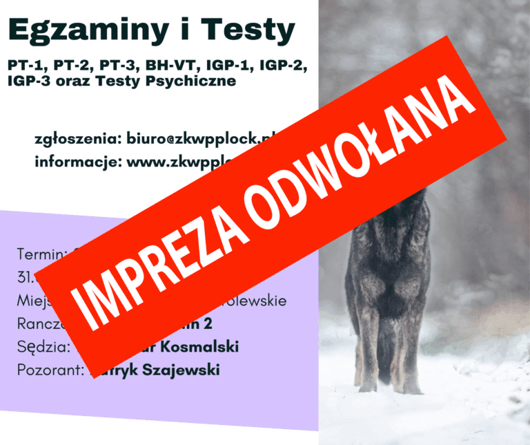 Impreza odwołana. Oddziałowa Komisja Szkolenia Psów zaprasza na testy i egzamin w zakresie: PT-1, PT-2, PT-3, BH-VT, IGP-1, IGP-2, IGP-3 oraz Testy Psychiczne.