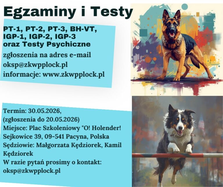 Testy i egzaminy 20.05.2026